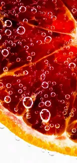 A vibrant red-orange sliced citrus fruit with water droplets on a white background.