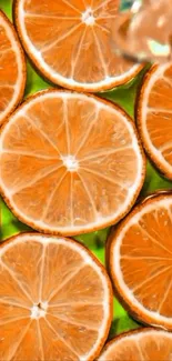 Close-up of vibrant citrus slices in a lively pattern.