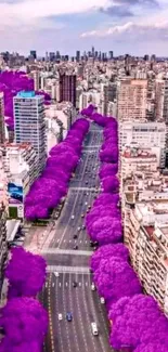 City skyline with vibrant purple trees lining the streets.