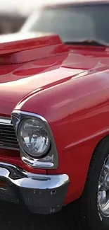 Red classic car with shiny details in focus.