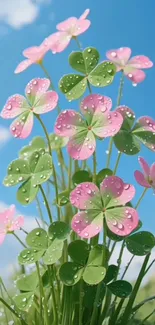 Dew-kissed clover blossoms under blue sky.