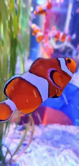 Clownfish swimming in vibrant aquarium with colorful aquatic plants.