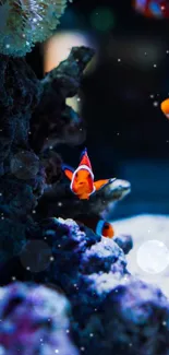 Vibrant clownfish swimming in an aquarium scene.