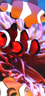 Colorful clownfish swimming among corals in a vibrant underwater wallpaper.