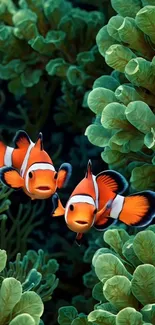 Clownfish swimming through vibrant green coral reef.