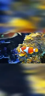 Clownfish swimming in a vibrant coral reef, showcasing marine beauty.