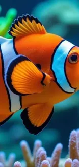 A vibrant clownfish swimming near corals.