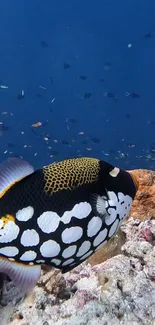 Colorful clownfish in vibrant ocean backdrop.