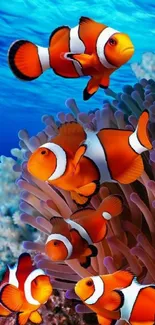 Vibrant clownfish swimming in bright ocean with coral.