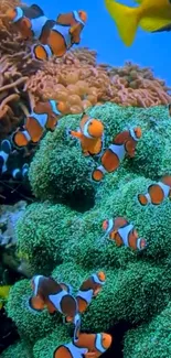 Clownfish swim among lush green corals in a vibrant ocean scene.