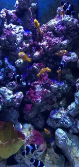 Vibrant clownfish swimming amidst colorful coral reefs.