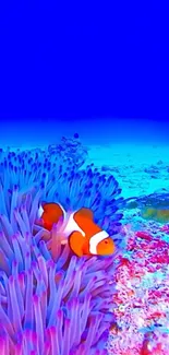 Vibrant wallpaper of a clownfish among sea anemones underwater.