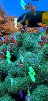 Vibrant underwater scene with clownfish in colorful corals against a green backdrop.