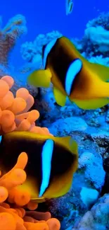 Vibrant clownfish swimming among coral in a colorful underwater scene.