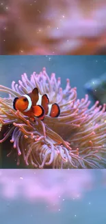 Vibrant clownfish and sea anemones in an underwater scene mobile wallpaper.