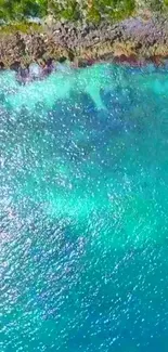 Aerial view of a vibrant turquoise ocean with a rocky coastline.