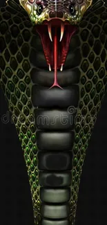 Vibrant cobra with detailed scales as mobile wallpaper.