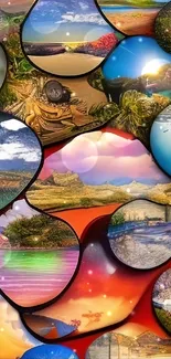 Colorful collage of nature landscapes in circular frames on a red background.