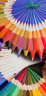 Vibrant circular arrangement of colored pencils in diverse hues.