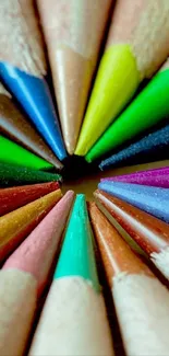 Colorful pencil tips arranged in a circle with a central point.
