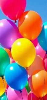 Colorful balloons floating in the sky