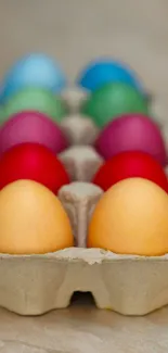 Colorful eggs in a carton, vibrant mobile wallpaper.