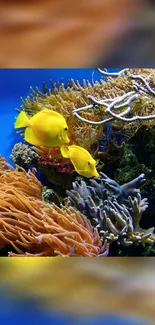 Bright yellow fish swim among colorful coral in a vibrant underwater scene.