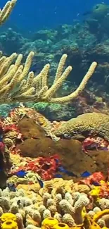 Colorful coral reef with marine life and vibrant ocean scenery.