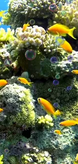 Vibrant coral reef with colorful fish and bubbles, creating a lively underwater scene.