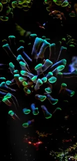 Vibrant coral reef with glowing green polyps.