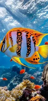 Vibrant tropical fish swimming in colorful coral reef.