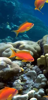 Orange fish swimming in coral reef underwater scene.