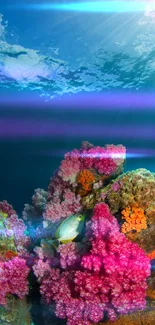 Vivid coral reef underwater with sunlight rays.