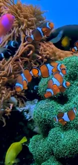 Colorful coral reef with clownfish and marine life in a vibrant underwater scene.