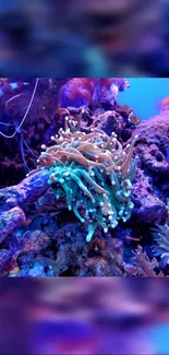 Vibrant coral reef with marine life wallpaper.