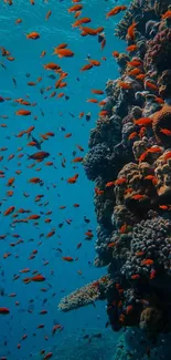 Vibrant coral reef with tropical fish swimming in blue ocean waters.