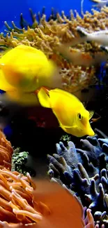 Vibrant underwater scene with yellow fish and colorful corals.