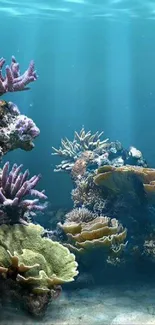 Vibrant coral reef with colorful marine life in clear blue water.