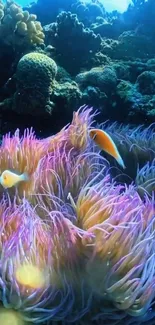 Purple and orange coral reef with marine life underwater.