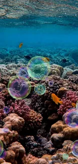 Underwater coral reef with vibrant fish.