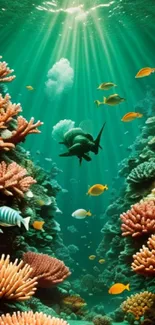 Vibrant underwater coral reef with marine life and sunlit ocean water.