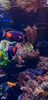 Colorful coral reef with vibrant fish and marine plants in a blue underwater setting.