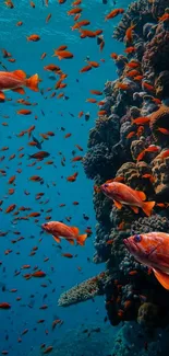 Orange fish swim in a vibrant coral reef underwater scene.