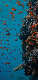 Vibrant coral reef with colorful fish swimming.