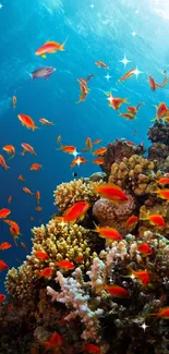 Colorful coral reef with bright fish swimming underwater.