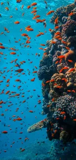 A vibrant coral reef with orange fish under aqua blue water.