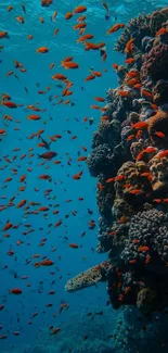 Vibrant coral reef with colorful fish underwater scene.