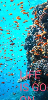 Underwater coral reef and school of fish with text 'Life is going on'.