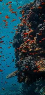 Vibrant coral reef with colorful fish underwater.