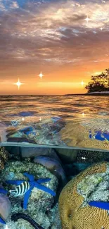 Vibrant coral reef with blue starfish at sunset.